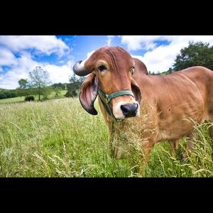 Meet your Posher, Alexandra